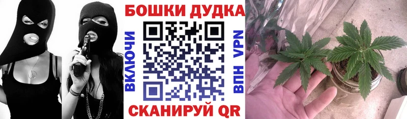Шишки марихуана план  Купить где  Дзержинск 